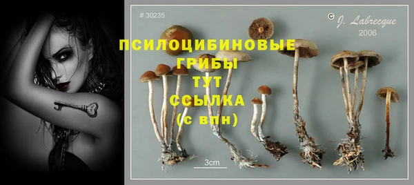 стафф Волоколамск