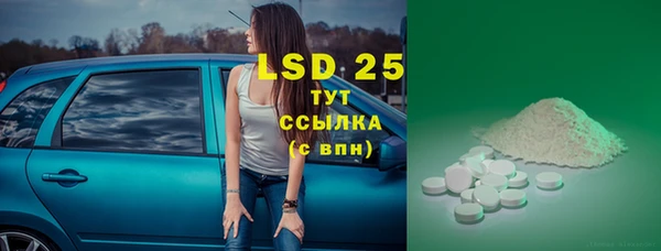 стафф Волоколамск