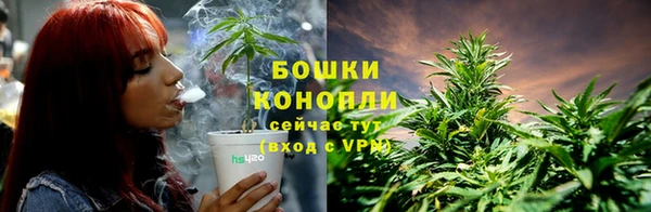 стафф Волоколамск
