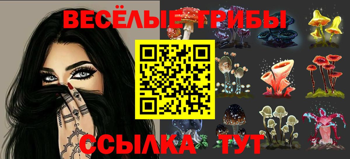 Псилоцибиновые грибы Psilocybe Нерюнгри