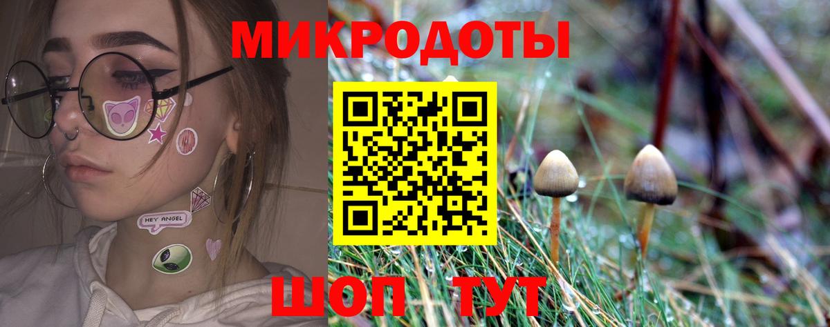 Псилоцибиновые грибы Magic Shrooms  где купить наркоту  Нерюнгри 
