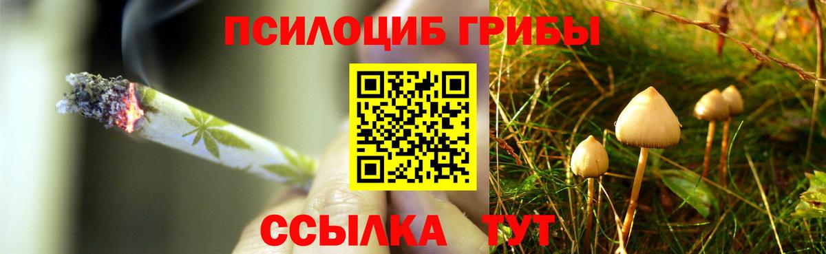 Псилоцибиновые грибы MAGIC MUSHROOMS Нерюнгри