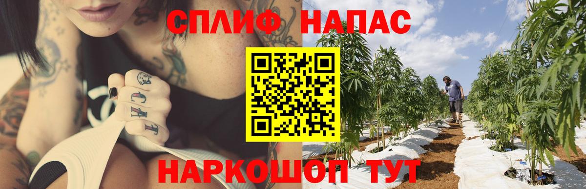 Каннабис Bruce Banner  Конопля MAZAR  Нерюнгри  Вход с VPN  МАРИХУАНА сатива 